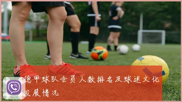 德甲球队会员人数排名及球迷文化发展情况