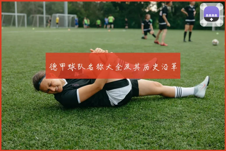 德甲球队名称大全及其历史沿革