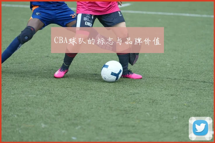 CBA球队的标志与品牌价值