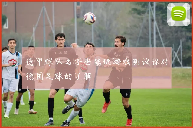 德甲球队名字也能玩游戏测试你对德国足球的了解